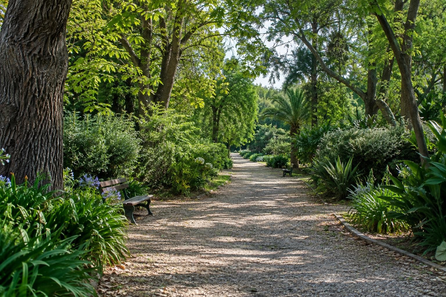 Sendero arbolado y vegetación densa evocan una visita tranquila a un jardín botánico urbano.